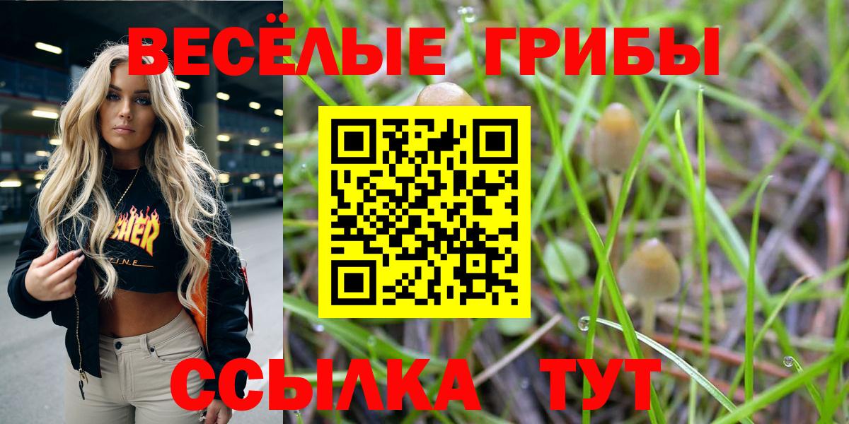 Керчь  Псилоцибиновые грибы GOLDEN TEACHER  Вход с VPN  Псилоцибиновые грибы Psilocybine cubensis 